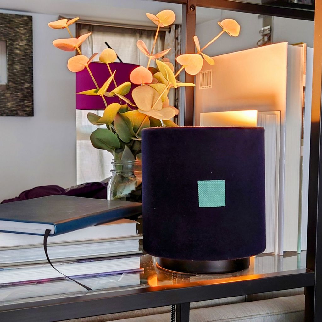 dsc_7480~21080476410968818821.