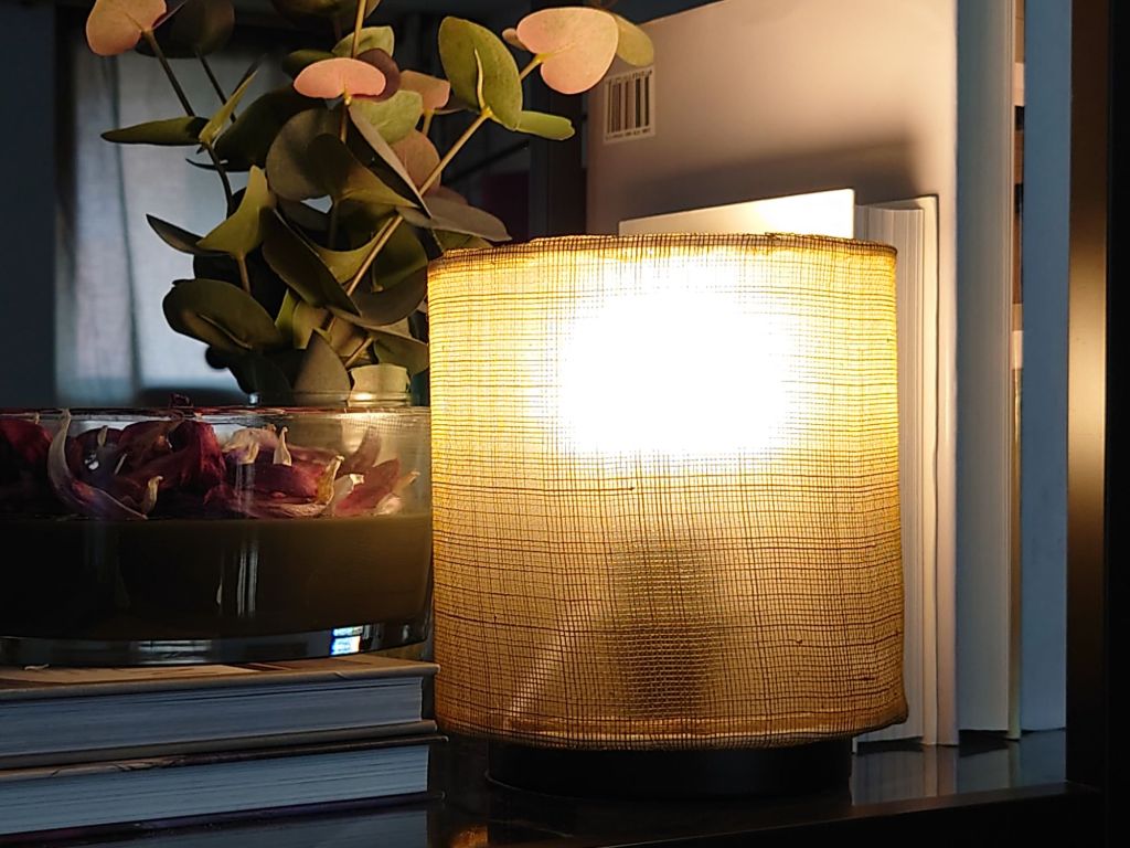 dsc_7506561159321301326949