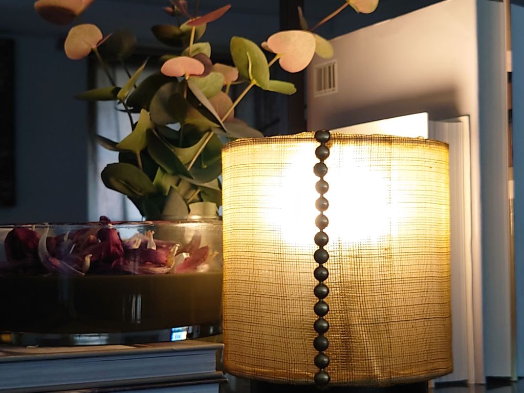 dsc_75073758567302831876723