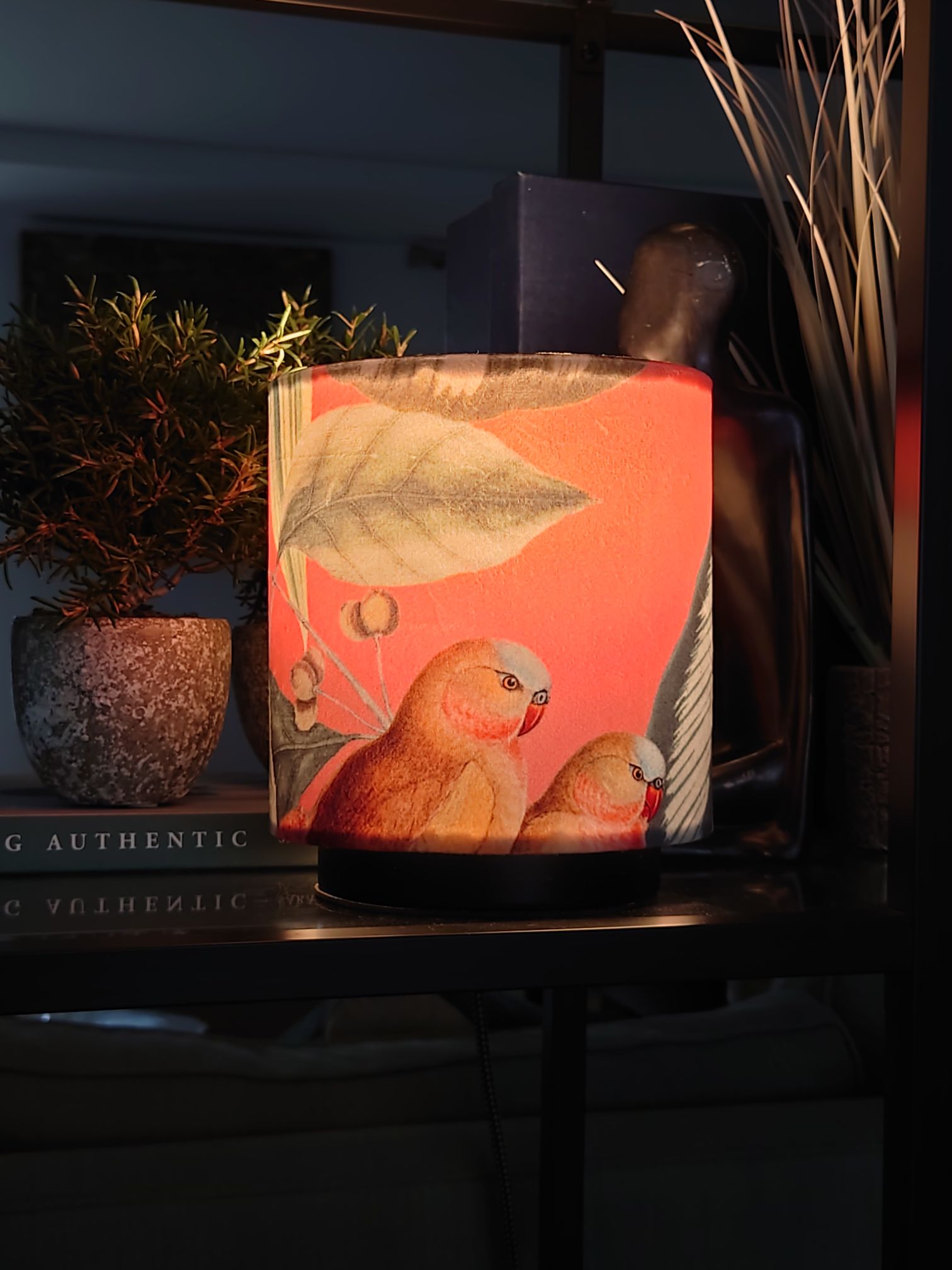 Salmon colour drum lampshade with two birds perched against books and flower pot on a shelf
